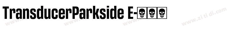 TransducerParkside E字体转换